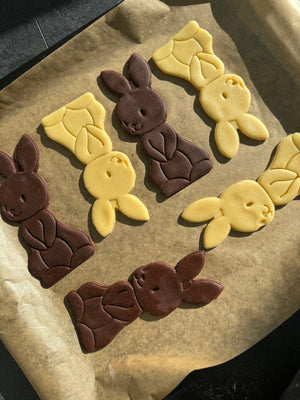 Grote Paashaas koekjesvorm - Samenmetdekindjes - Samenmetdekindjes