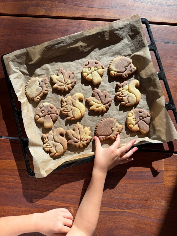Herfst koekjesvormen - Samenmetdekindjes - Samenmetdekindjes