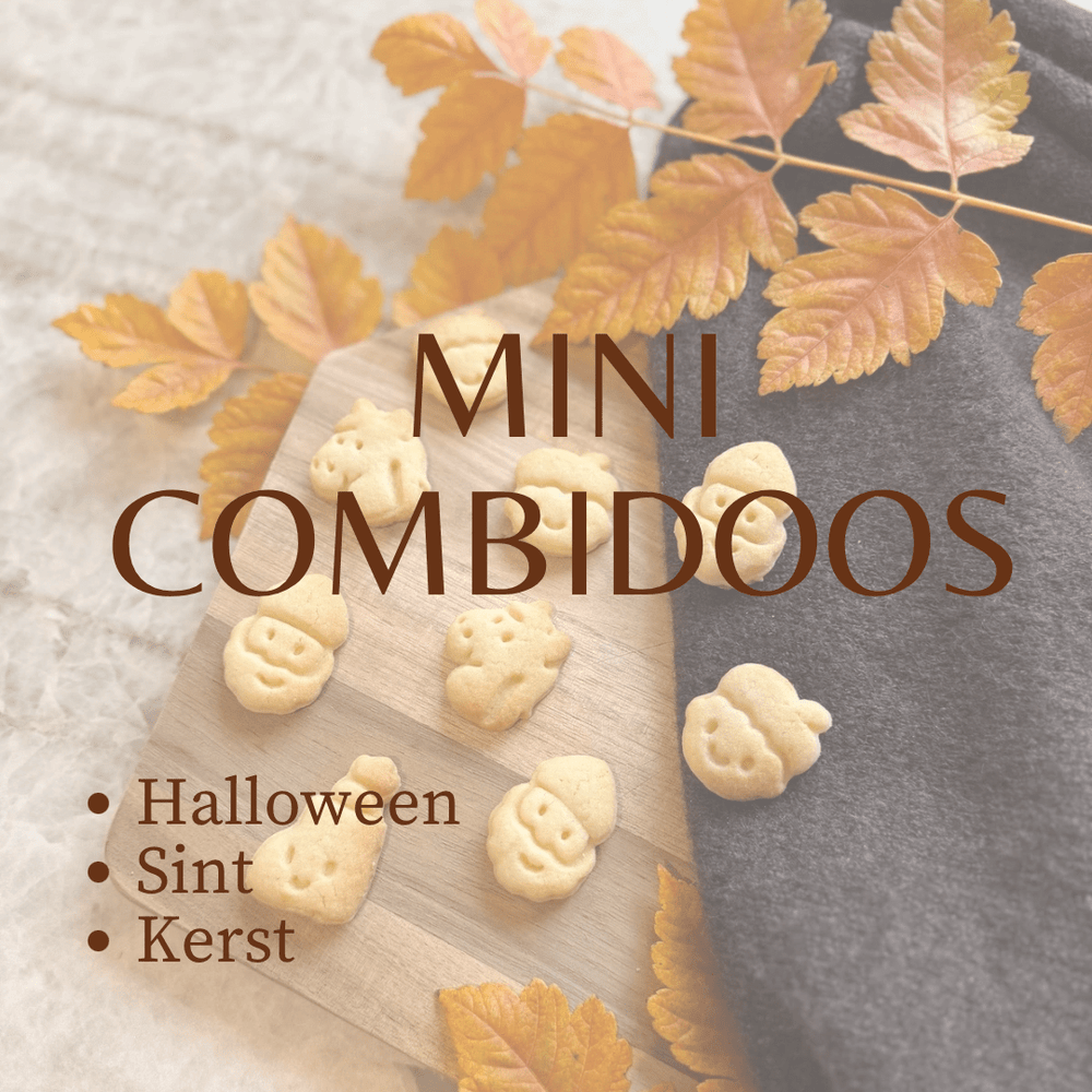 Mini combidoos (Halloween, Sint, Kerst) - Samenmetdekindjes - Samenmetdekindjes